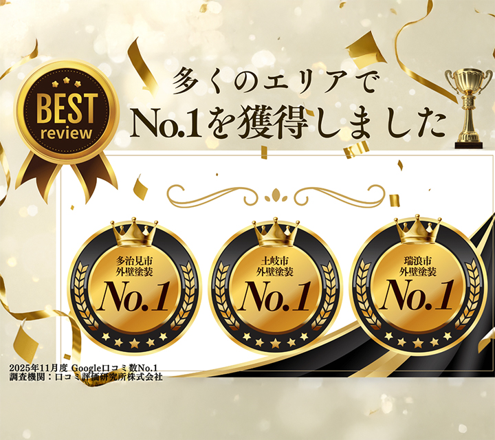 2025年11月度google口コミ数No.1