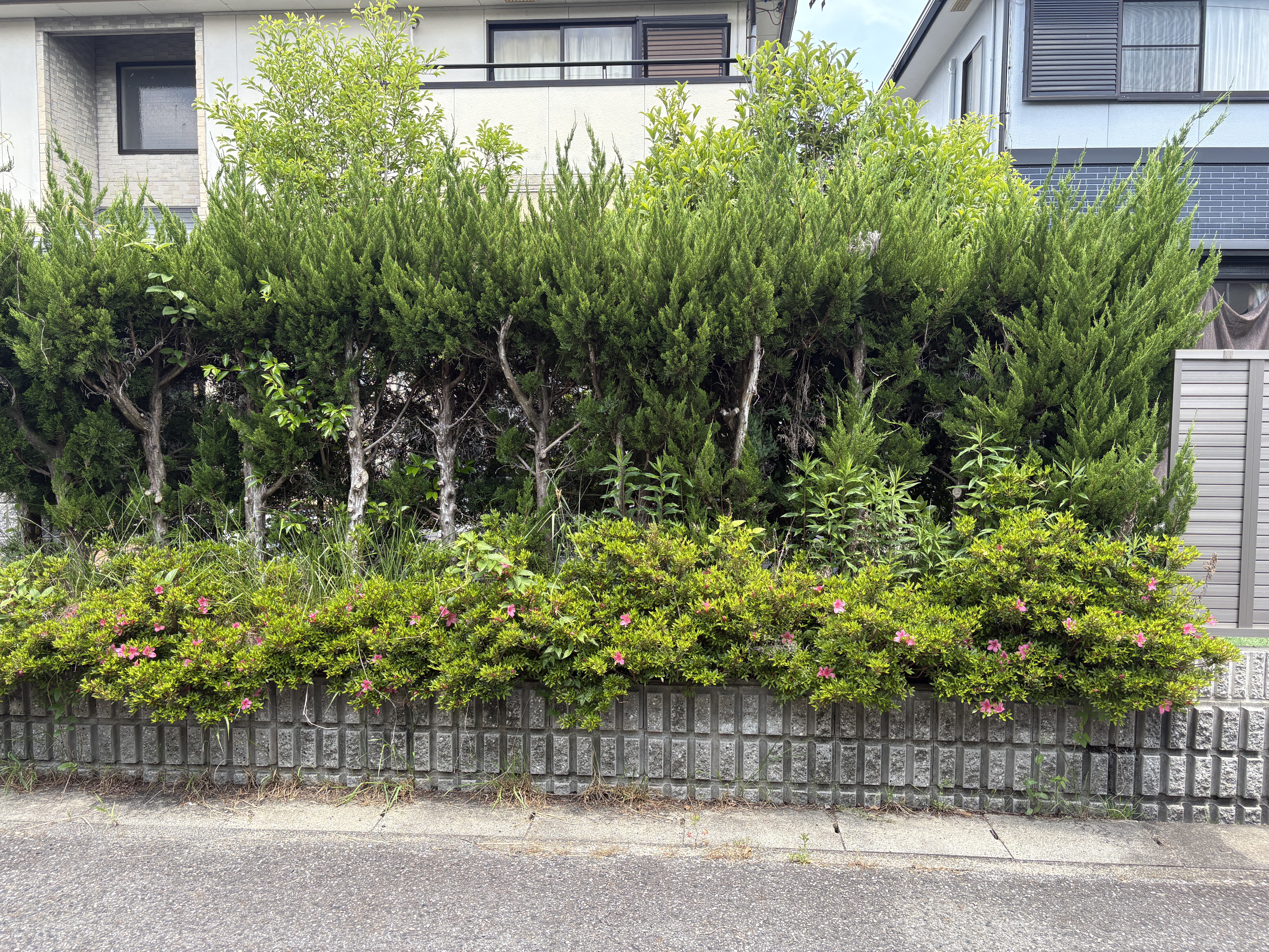 多治見市の外壁塗装、屋根塗装株式会社エスエスの施工事例Before